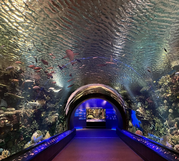 New York Aquarium (Brooklyn,&nbspNY)